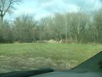 20051123farmsite10.jpg