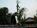 Kristi putting more corn on the float
